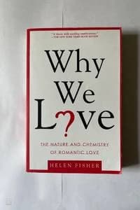 Why We Love